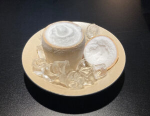 동양 코코넛샤베트